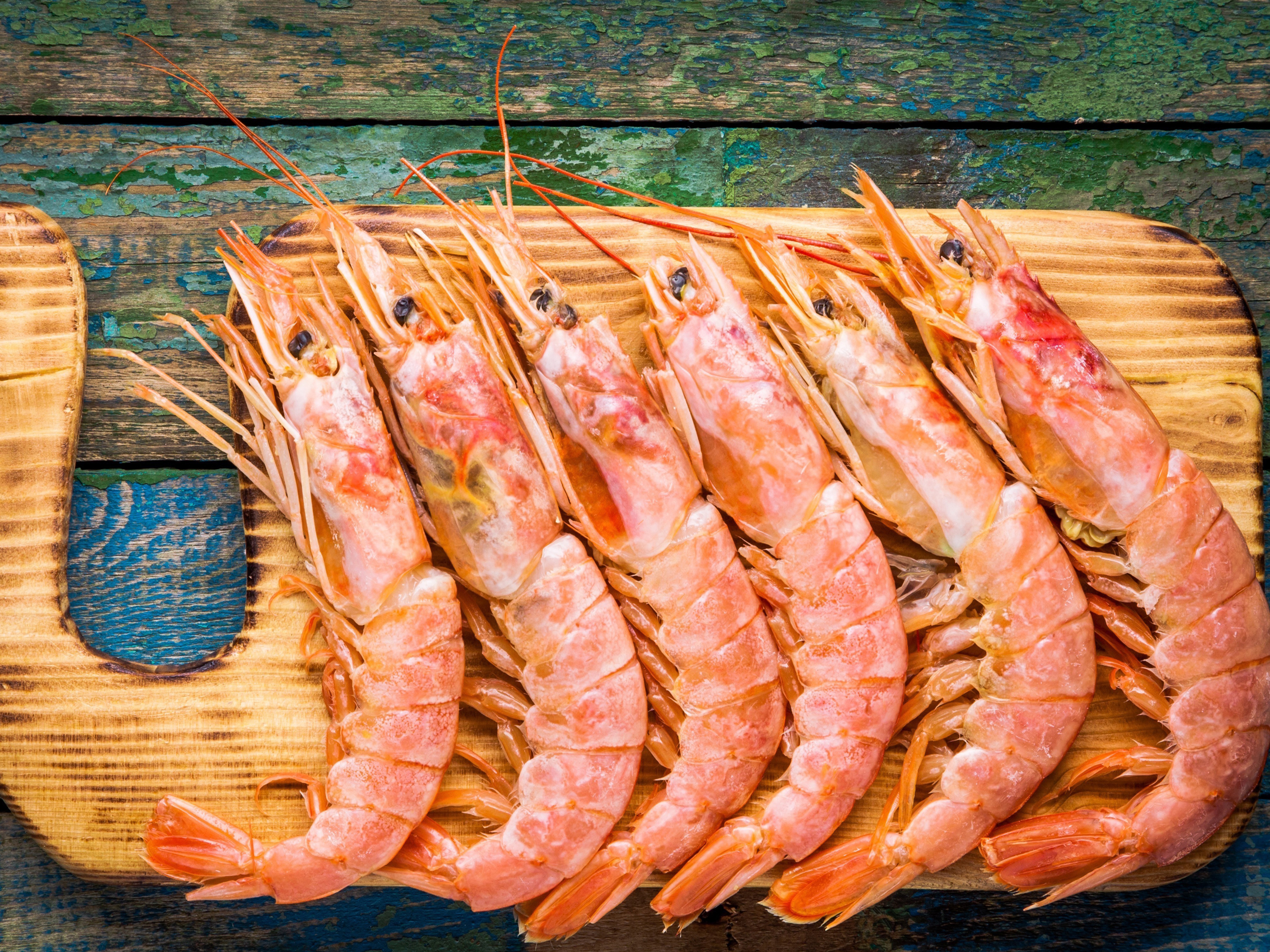 Garnele oder Shrimp – Was bin ich?