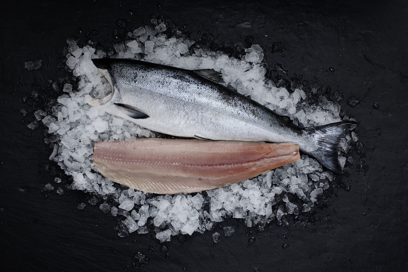 Ivory King Salmon (Sashimi-Qualität) · ohne Kopf