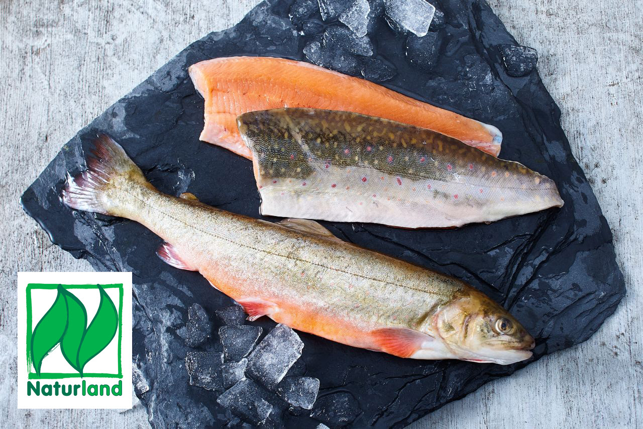 Fische mit Bio oder Naturland Zertifizierung