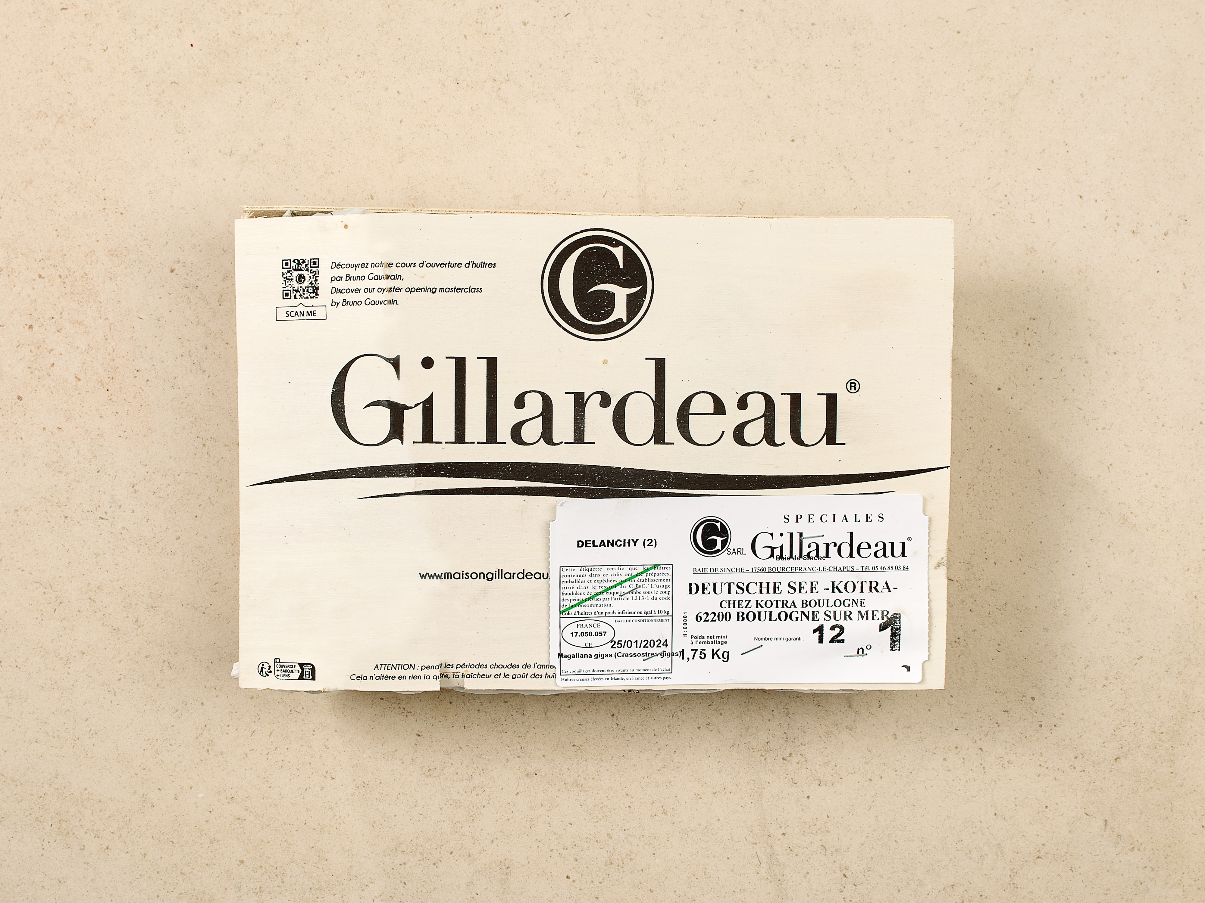 Gillardeau Auster · Speciales de Claire · ca. 155 g