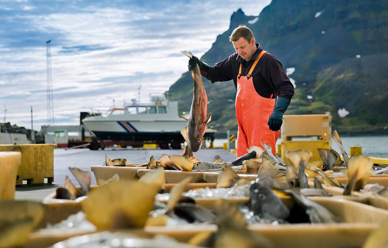 Islynt-natuerlich-bester-Fisch-Produkte-Spezialitaeten-Handselektiert-Fischer-780x500