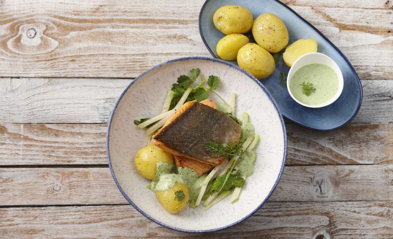Rezept: Isländischer Saibling mit grüner Sauce