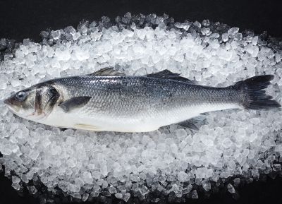 Loup de mer im Online-Shop