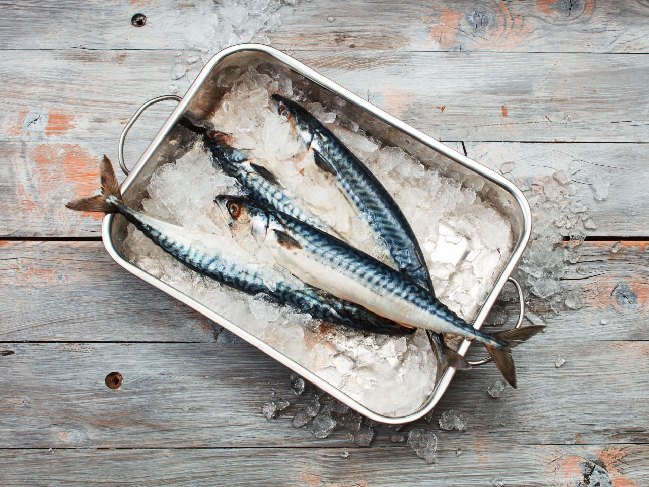 Makrele Ein Fisch Der Energie Schenkt