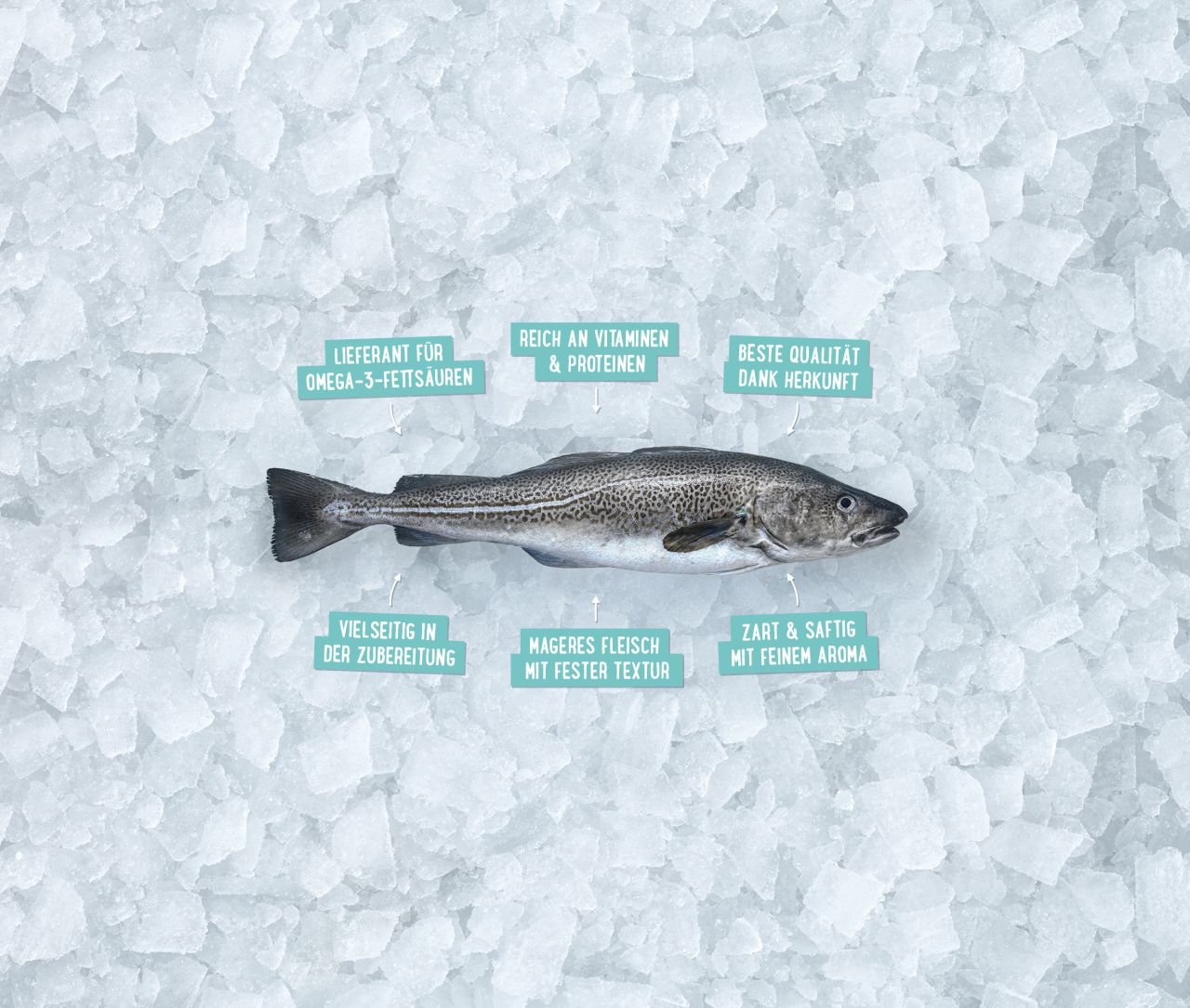 Skrei - Winterkabeljau aus Norwegen