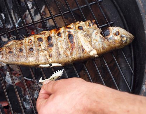 Grillen Grillen