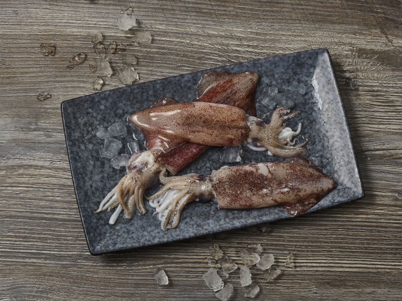 Calamares schon gewusst? Deutsche See