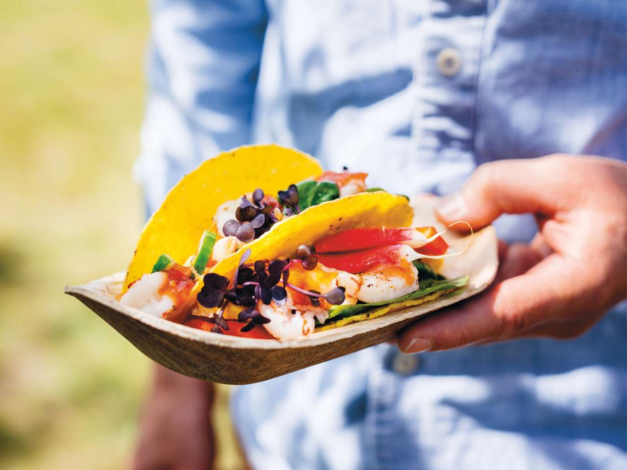 Yakitori- Spieße Yakitori- Spieße